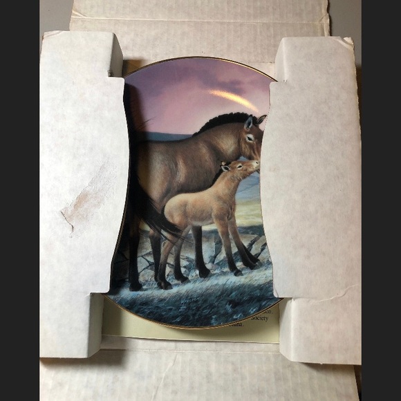 Przewalski’s Horse Bradford Exchange Plate - Picture 7 of 7